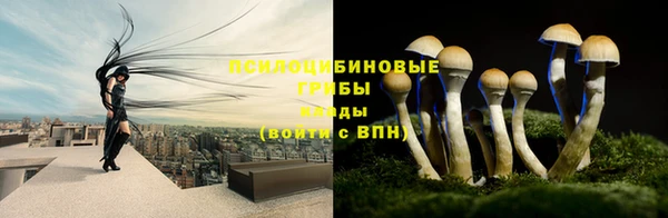 гидропоника Кулебаки