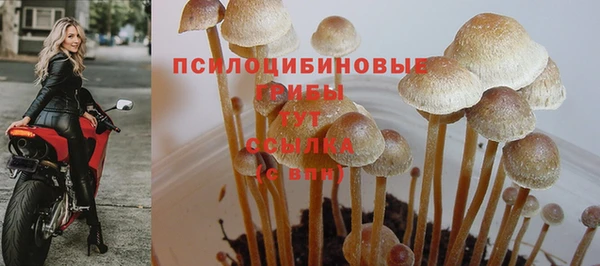 гидропоника Кулебаки