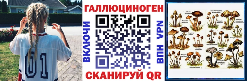 сколько стоит  Северская  Псилоцибиновые грибы Psilocybine cubensis 