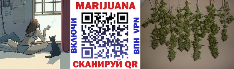 MEGA как войти  Северская  Шишки марихуана THC 21% 